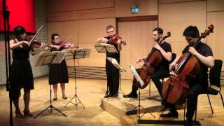 Schubert String Quintet in C (D.956) - III. Scherzo. Presto -- Trio. Andante sostenuto