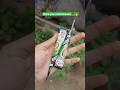 Share Your Tutorial Mehndi Henna Shorts Mehndi Design Twisted Entertainment Enjoy Yt