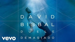 David Bisbal - Duele Demasiado (Audio)