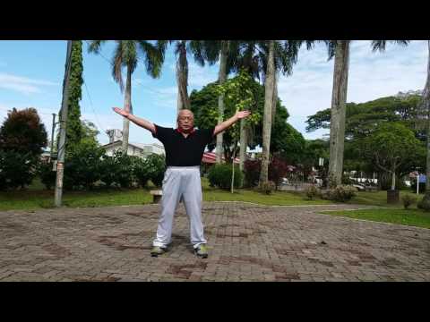 Taiji Qigong Shibashi ~ Set 2