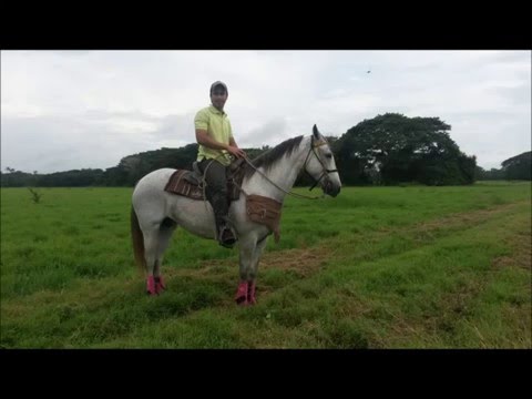 Orlando Ojeda Kirpa Altanera.