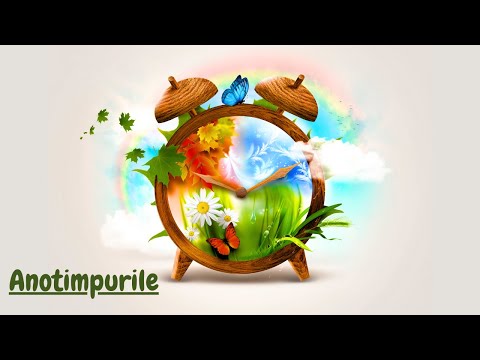 "Anotimpurile pentru copii: Descoperă și învață despre minunile naturii"