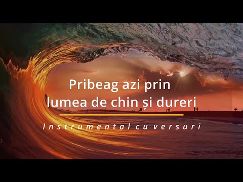 Pribeag azi prin lumea de chin și dureri - Negativ (Instrumental cu versuri)