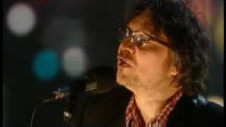 WILCO (NEW SONG): OPEN YOUR MIND
