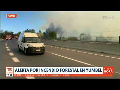 Alerta roja en Yumbel por incendio forestal