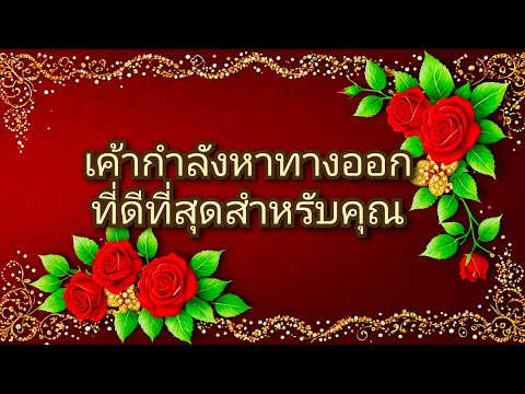 #random ❤️ #เค้ากำลังหาทางออกที่ดีที่สุดสำหรับคุณ☺️🥀👩‍❤️‍👨