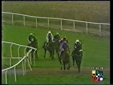2000 Tanners Burgundy Juvenile Novices' Selling Hurdle