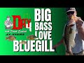BTL AT NIGHT: THE BLUEGILL SECRET (DAY 4 WITH FRANK SCALISH #242)
