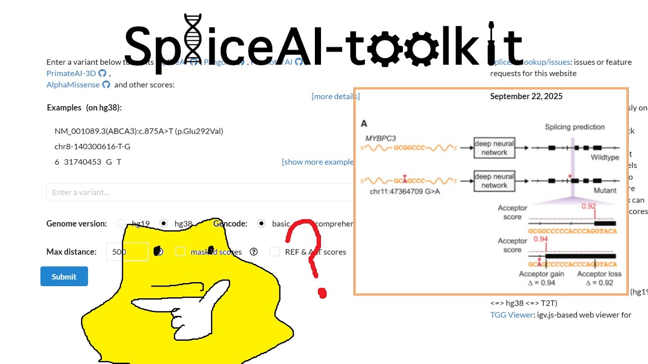 Splice tutorial