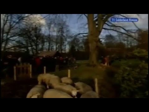 GLD Nieuws 25 december 2008 - Nieuws