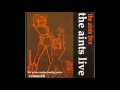 Ed Kuepper The Aints ''River deep mountain high''