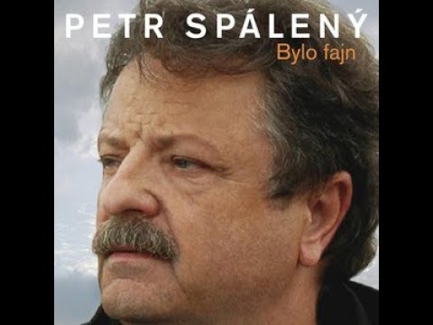 DÁMA PŘI TĚLE????????/ PETR SPÁLENÝ/NEW2022!COVER BY OTA ON KORG PA700