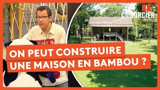 LES SORCIERS TAILLENT LA ROUTE - C'est Pas Sorcier