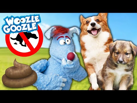 Ist ein Hund das perfekte Haustier? l WOOZLE GOOZLE