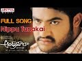 Andhrawala Telugu Movie Nippu Tunakai Full Song Jr N T R Rakshita