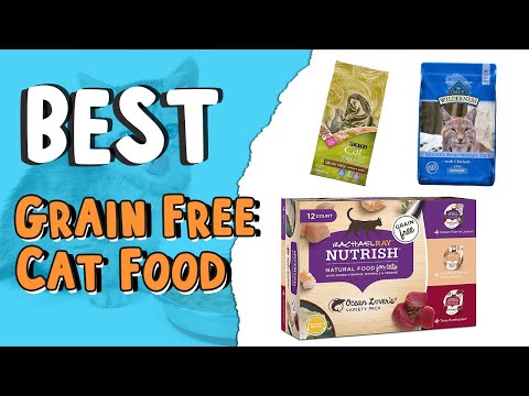 Best Grain Free Cat Food  _ Top 5 | Grain-Free Cat Food Review