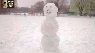 Что будет если собаке показать снеговика