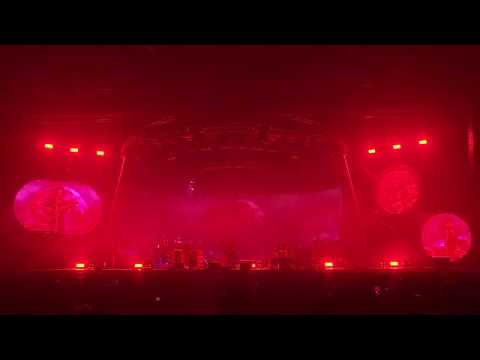 잔나비 나쁜 꿈