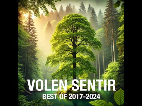 Best of Volen Sentir 2017-2024 - Remixes and Singles - 3 Hours DJ Mix