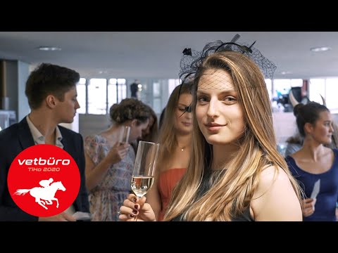 Medimeisterschaften 2020 TiHo Hannover - Teaser Vetbüro