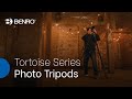 Benro Trépied vidéo TTOR34CLVS4pro Tortoise Kit