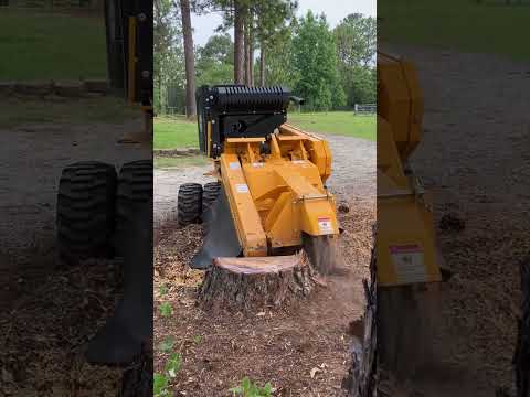 SP6016TRX STUMP GRINDER ELIMINATES PINE STUMP