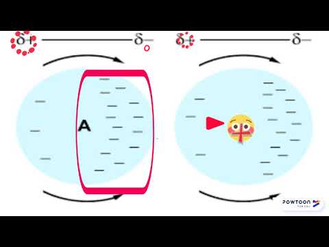 فيديو تعليمي