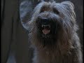 Chuck Norris Top Dog von Movies R US vor