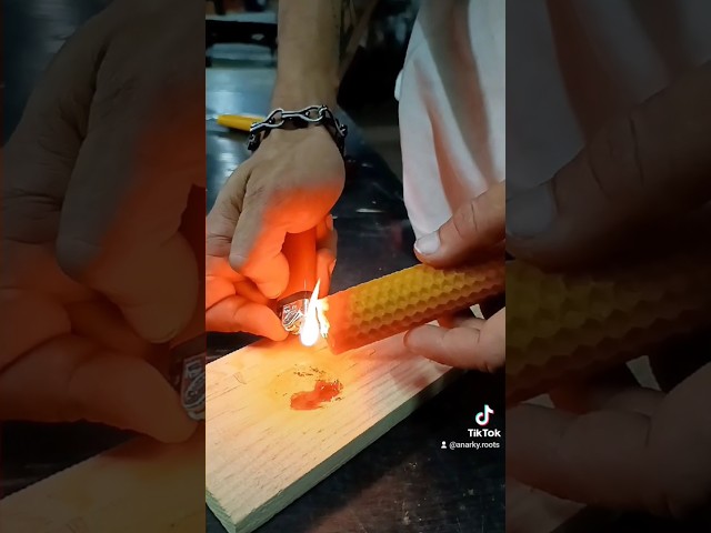 Vídeo relacionado con 25 Velas de Miel de Abeja + Palo Santo para Rituales 100% Natural Cera Pura(25 Velas 11,5 cm x .1 cm aprox. y 2 Palo Santo) - Hechas a Mano - Origen España Sierra de La Culebra Zamora - SIN PARAFINA