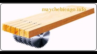 Máy Cưa Rong Nhiều Lưỡi Tốc Độ Cao | Máy Cưa Rong Ripsaw | Đại Phúc Vinh CNC