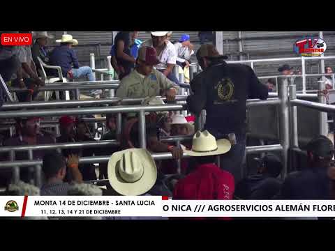 MONTA 14 DE DICIEMBRE SANTA LUCIA 202