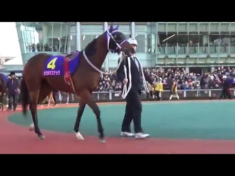 ２０１５東京２歳優駿牝馬パドック