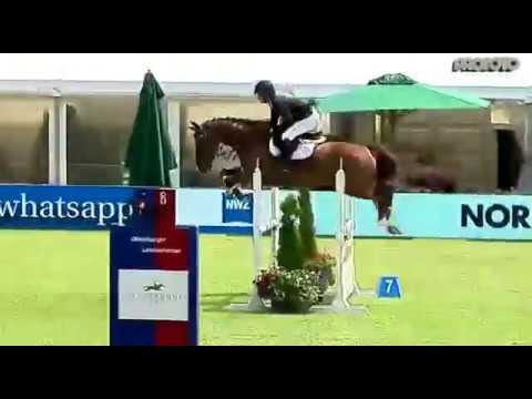 "Doolin Bay" gelding by Diamant de Semilly x Contendro (Rastede Landesschampion 2018)