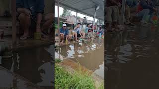 Download lagu galatama bawal.. slup pelampung hilang..!! #mancingmania #pemancing  #galatamabawal #galatama mp3 Download lagu galatama bawal.. slup pelampung hilang..!! #mancingmania #pemancing  #galatamabawal #galatama mp3
