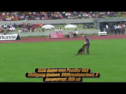 2009 SV BSZS VA8 Bojan vom Pendler