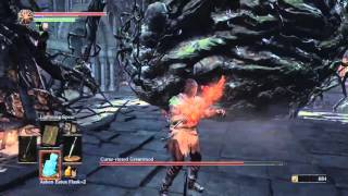 DARK SOULS™ III-Cursed-Rotten Greatwood (No Damage)