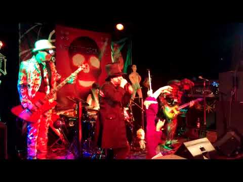 Konfetti Cocktail - Piss nicht an den Elektrozaun Live