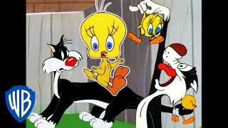 Looney Tunes  I Taut I Taw a Putty Tat!  Classic C