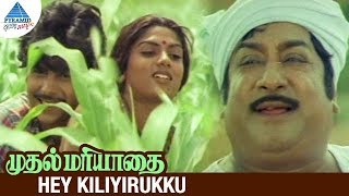 Muthal Mariyathai Tamil Movie Songs  Hey Kiliyiruk