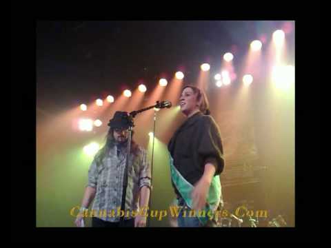 HT Cannabis Cup 2009 - Dutch Hash Winner