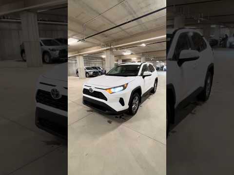 2025 Toyota RAV4 in White for sale at North London Toyota in London, ON