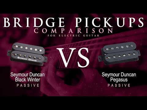 Seymour Duncan BLACK WINTER vs PEGASUS - Passive Bridge Pickup Guitar Tone Comparison Demo