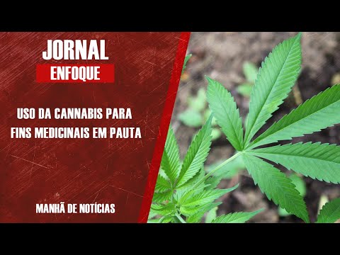 Cofundador da Abrace fala sobre uso da Cannabis