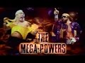 WWE WrestleMania V 1989 OSW Review 13
