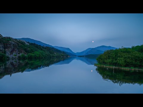 p12 颈部检查 肺和胸膜的触诊高清版