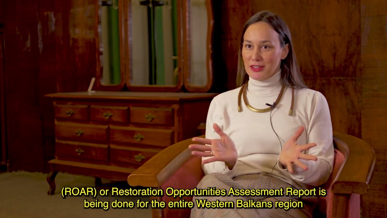 The Western Balkans Six Forest Landscape Restoration (WB6 FLR) Plan