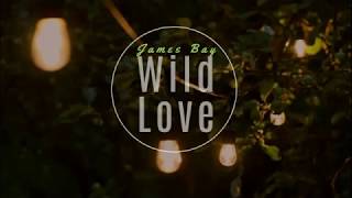 Wild Love- James Bay( Lyrics)