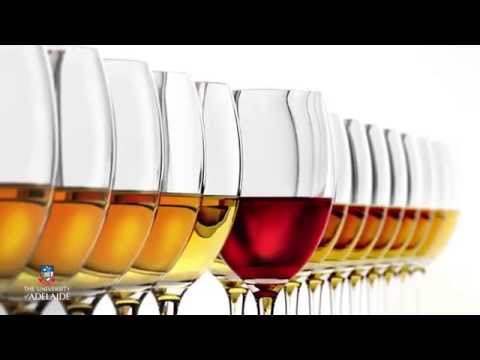 World of Wine - Wine Chemistry