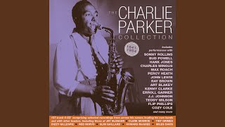 Bird Feathers [Schnourphology]