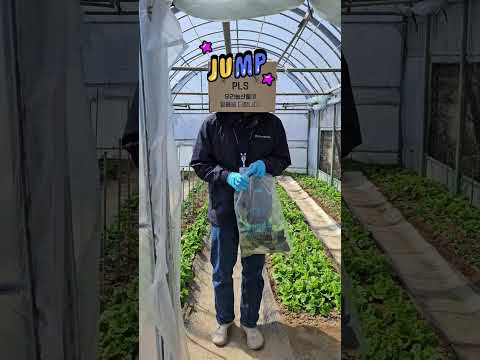 [Mission] 안전성 도장 깨기!!